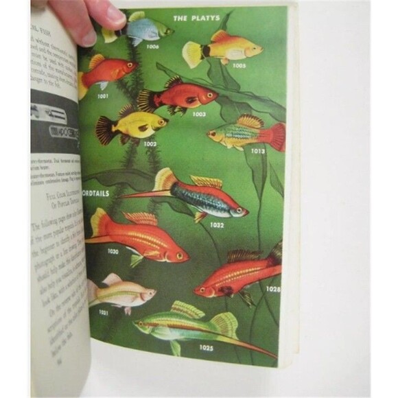 Tropical Fish Book, Lucile Quarry Mann. 1977 Paperback Full Color Illustrations - Picture 4 of 7